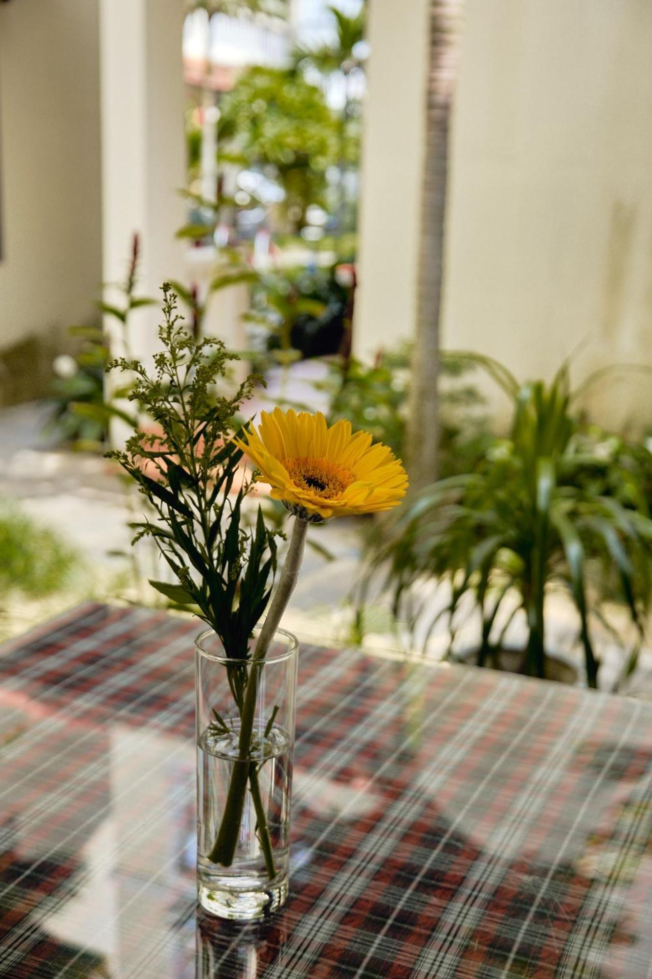 Hoi An Holiday Villa Esterno foto